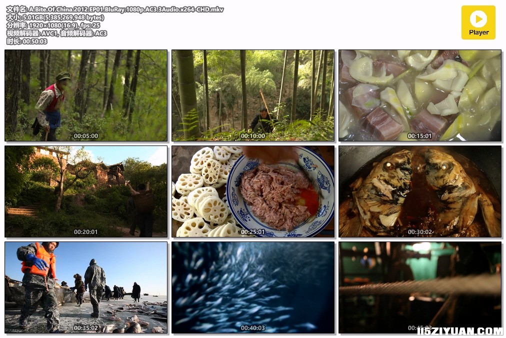 A.Bite.Of.China.2012.EP01.BluRay.1080p.AC3.3Audio.x264-CHD.mkv.jpg