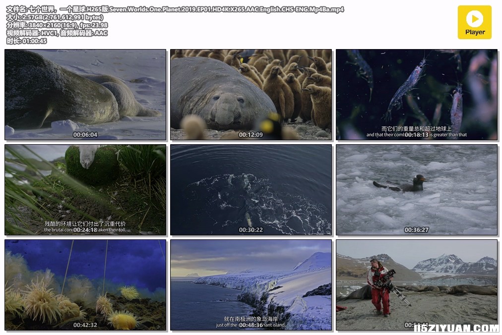 七个世界，一个星球.H265版.Seven.Worlds.One.Planet.2019.EP01.HD4K.X265.AAC.Englis.jpg