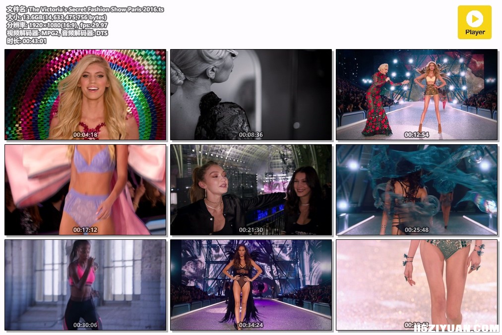 The Victoria's Secret Fashion Show Paris 2016.ts.jpg